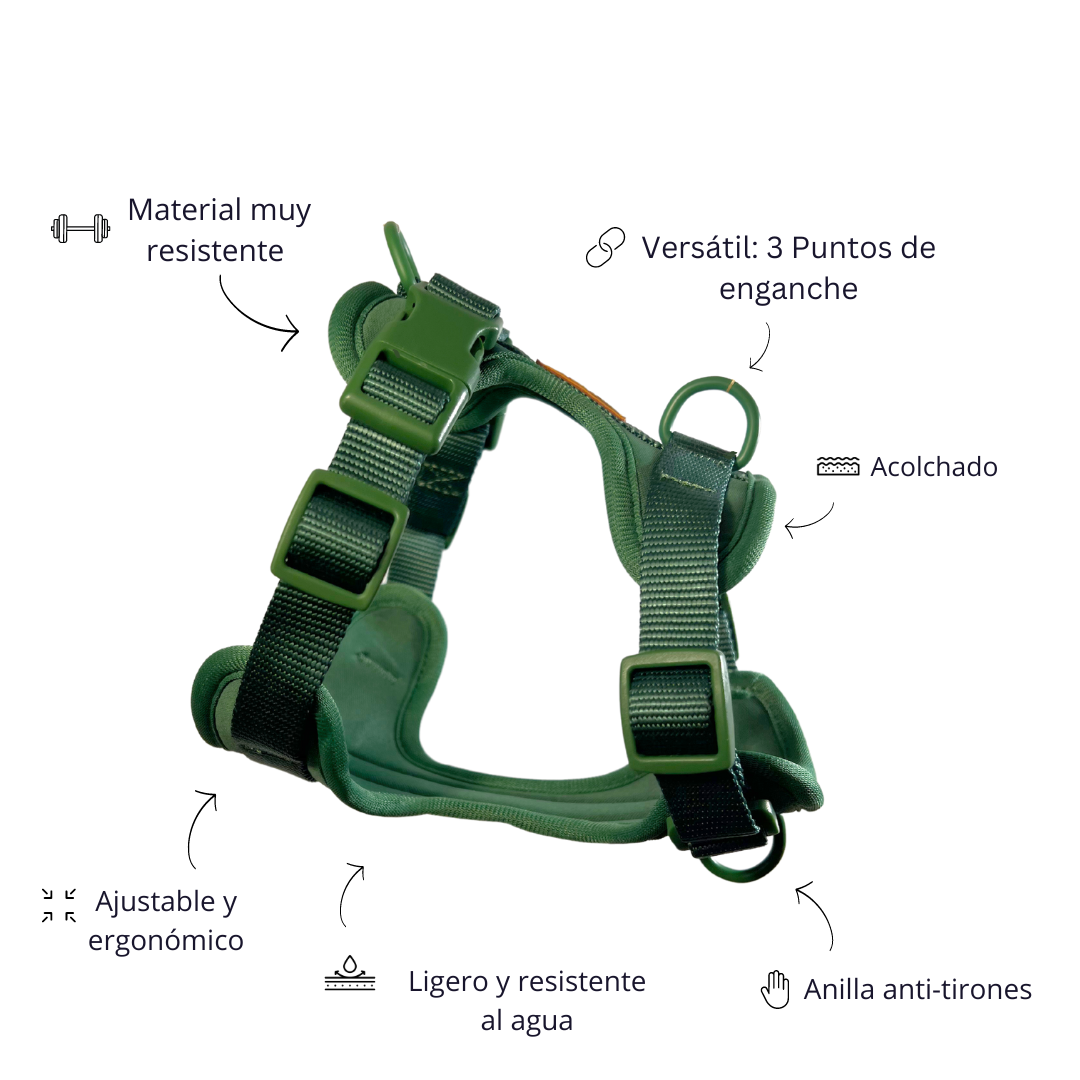 Kit de Paseo Adventure Jungle