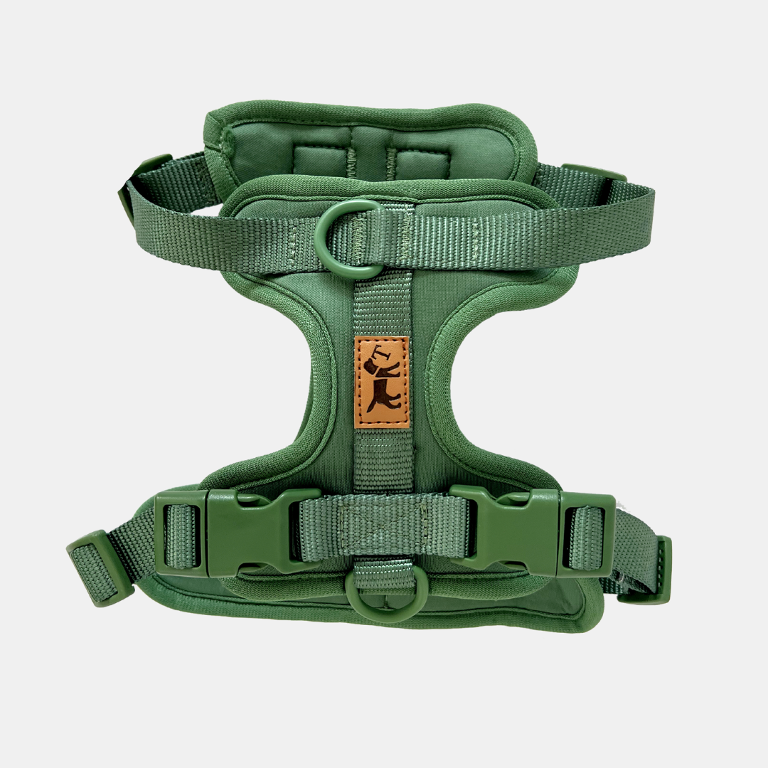 Kit d'aventure dans la jungle