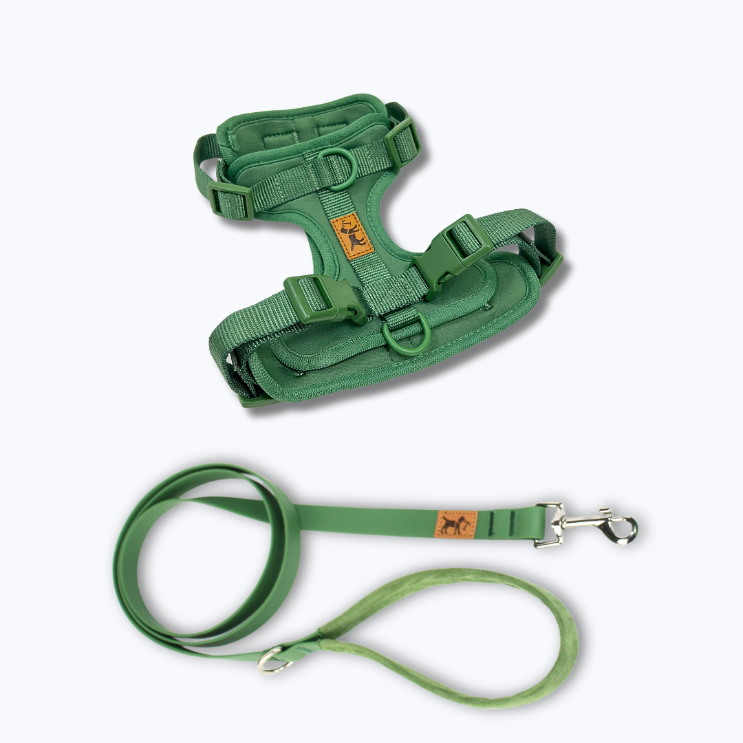 kit de paseo verde