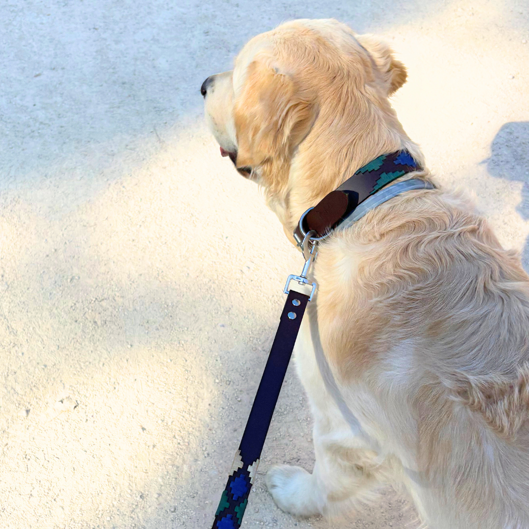 Kit de visite d'Iguazu