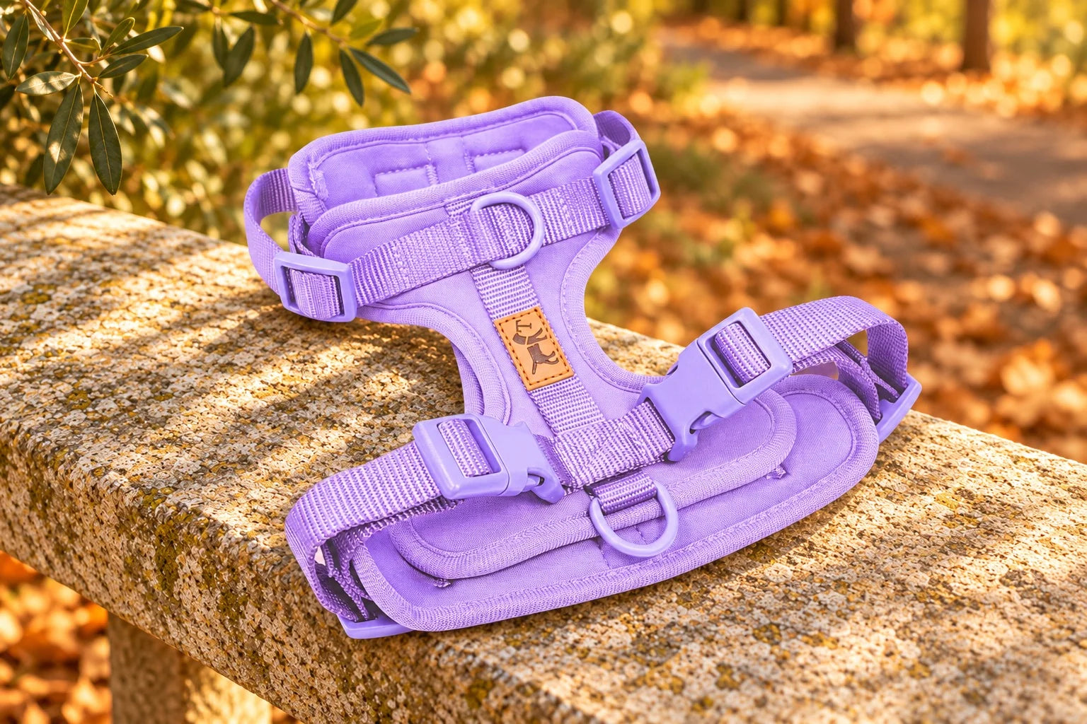 Adventure Lavender