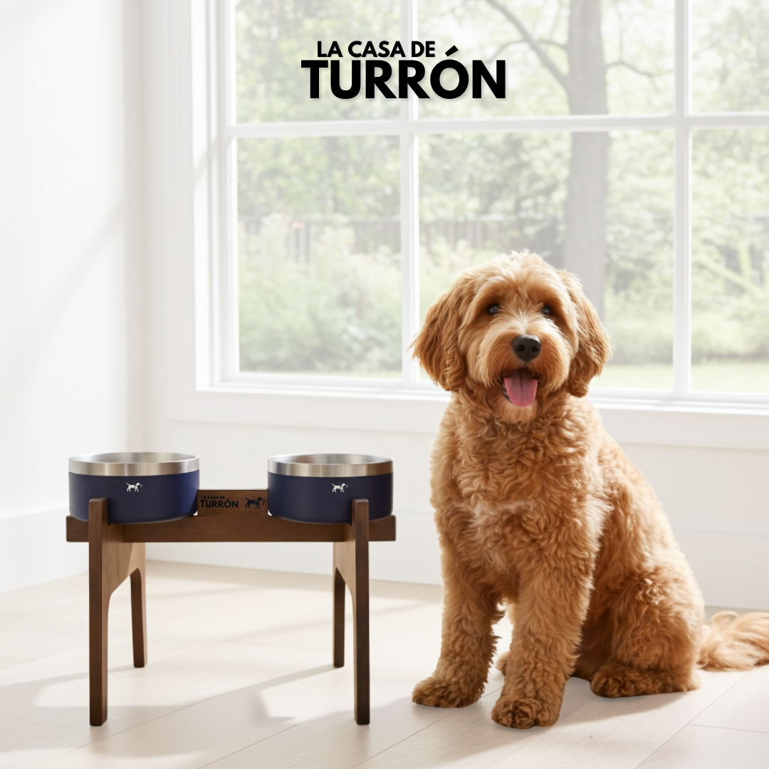 Arnés Adventure Jungle