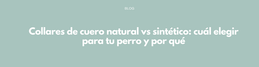 Collares de cuero natural vs sintético: cuál elegir para tu perro y por qué