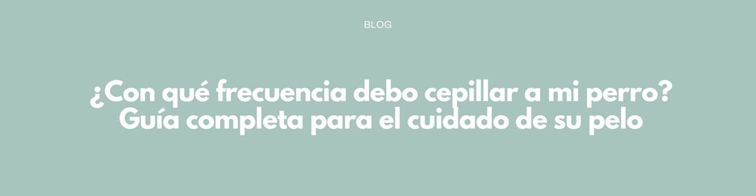 ¿Con qué frecuencia debo cepillar a mi perro? Guía completa para el cuidado de su pelo