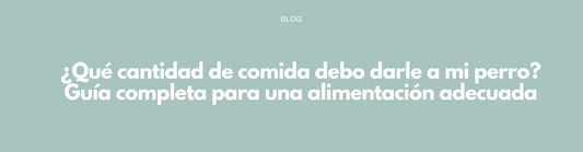 ¿Qué cantidad de comida debo darle a mi perro? Guía completa para una alimentación adecuada