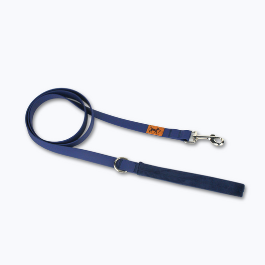 Vuela Perrito - Frisbee