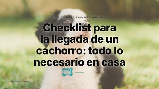 Checklist para la llegada de un cachorro: todo lo necesario en casa
