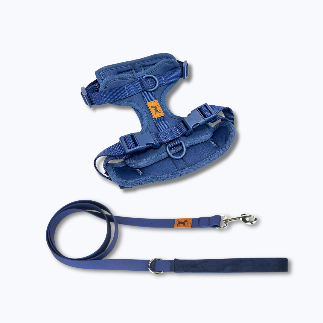 Comedero Cerámico Blanco