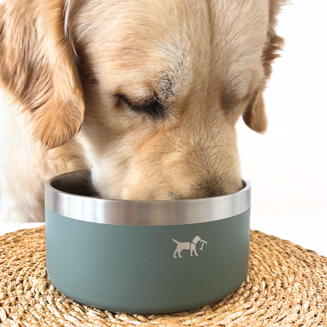 Stainless steel feeder 