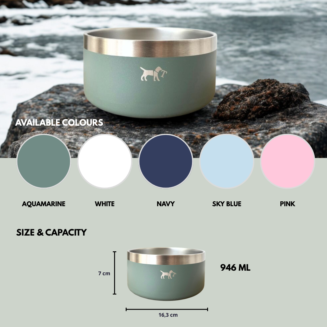Stainless steel feeder 