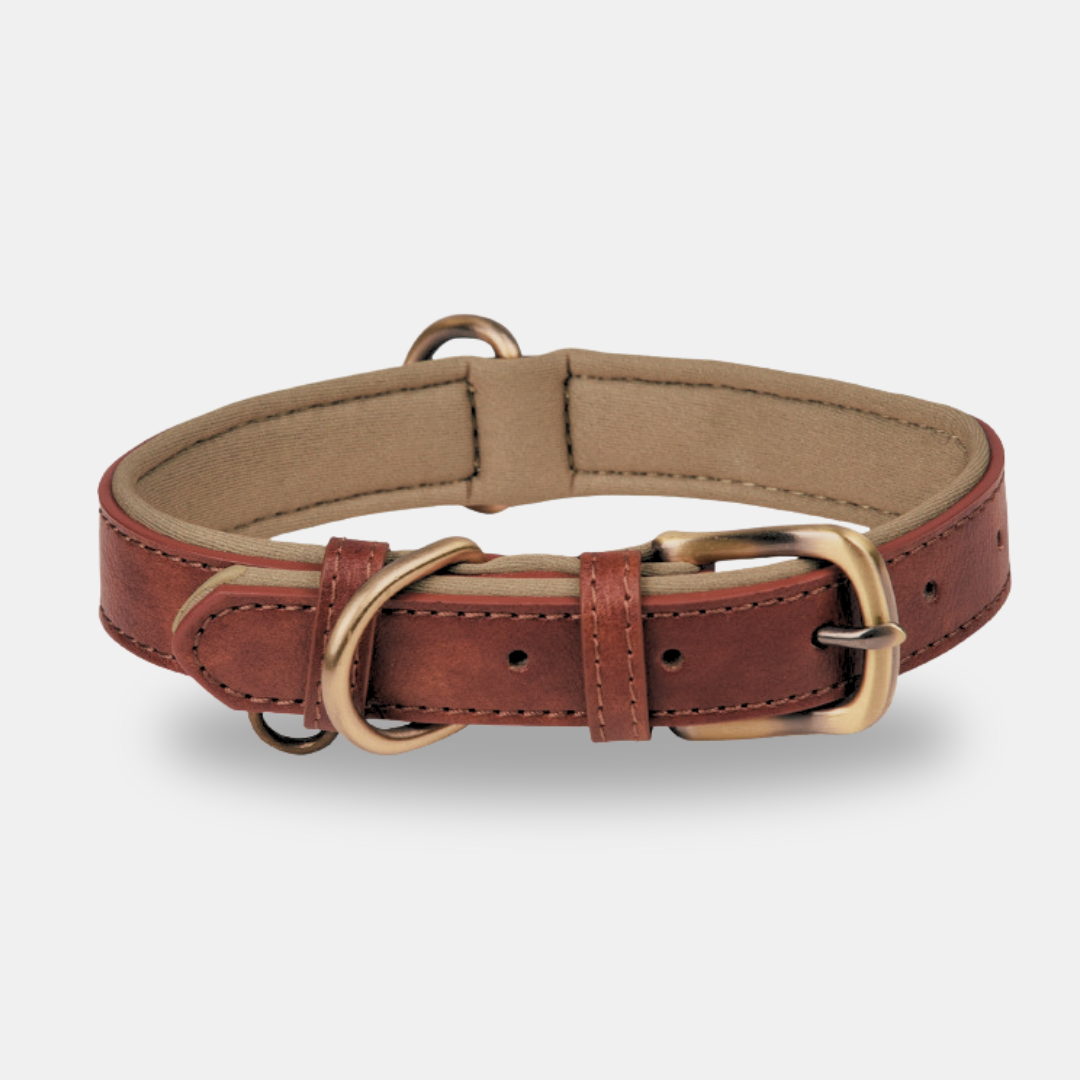 Collar Elegance