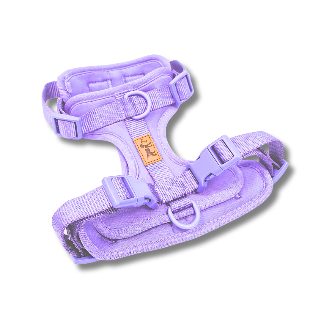 Adventure Harness Jungle