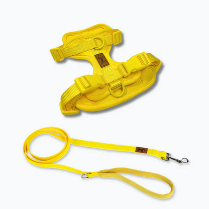 kit_de_paseo_amarillo.webp