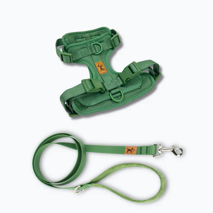 kit_de_paseo_verde.webp