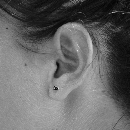Pendientes Huellitas